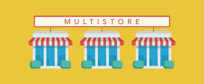 How to install Multistore WordPress theme into your hosting?