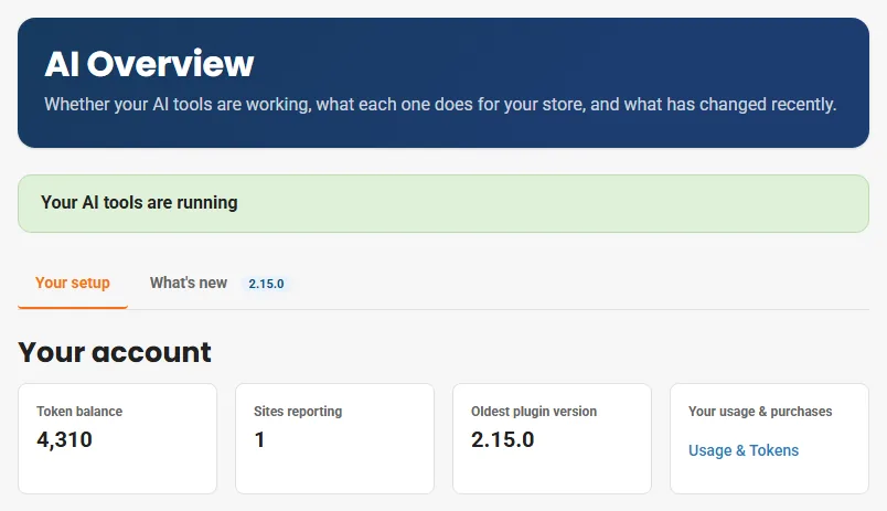 AI Overview in the Cmsmart dashboard: AI tools running, token balance, sites reporting and the oldest plugin version