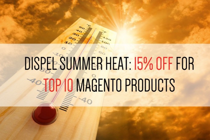 [Promotion] 15% OFF on TOP 10 Magento Products