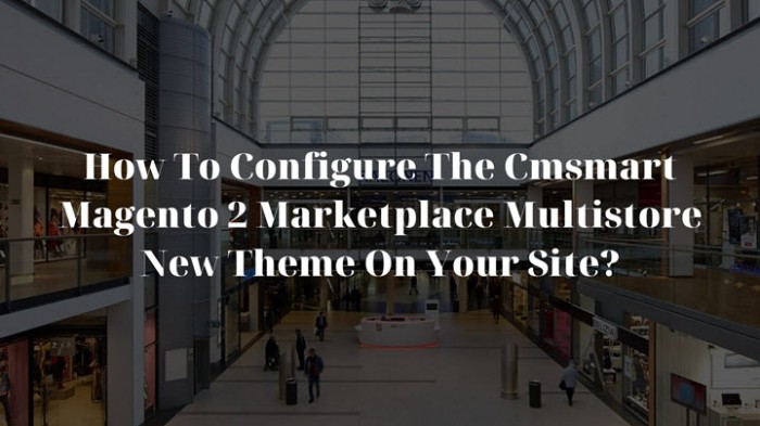 How to configure a new theme on Magento Multi Vendor Marketplace?