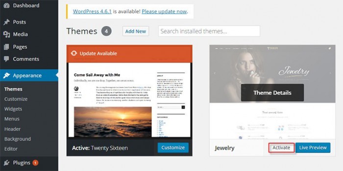 How to install plugin for Jewelry theme?