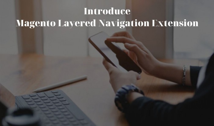 How to use Magento Layered Navigation Extension in front-end?