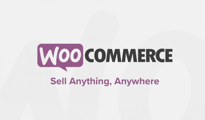 Top 5 Best Ecommerce WordPress Plugins 