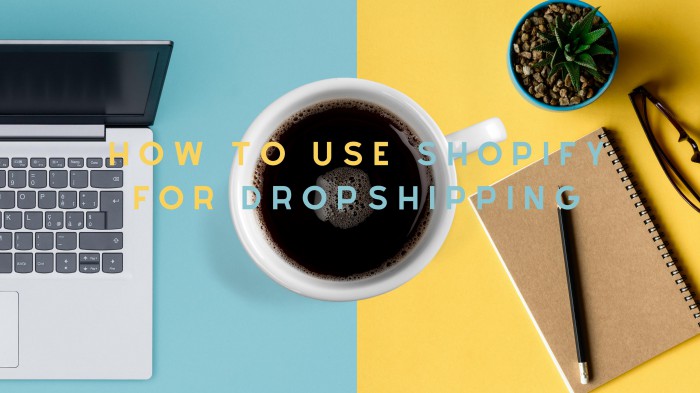 How To Use Shopify For Dropshipping ( Part 1)