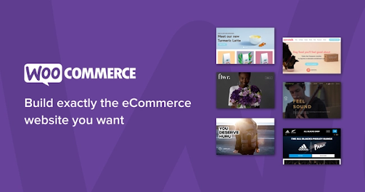 The Best WooCommerce Plugin WordPress for Your Ecommerce Store