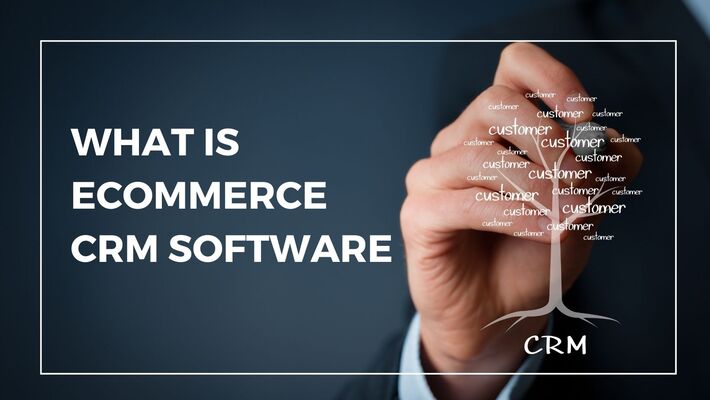 Ecommerce CRM Software: Why do you need it?