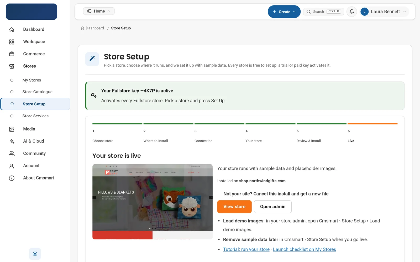 Store Setup wizard final step confirming the store is live and reachable on its domain