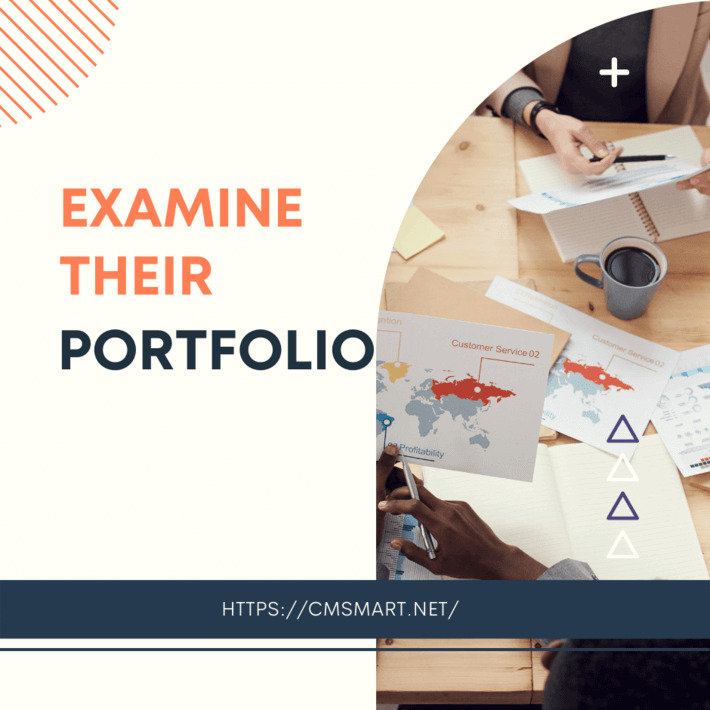 Examine-their-portfolio