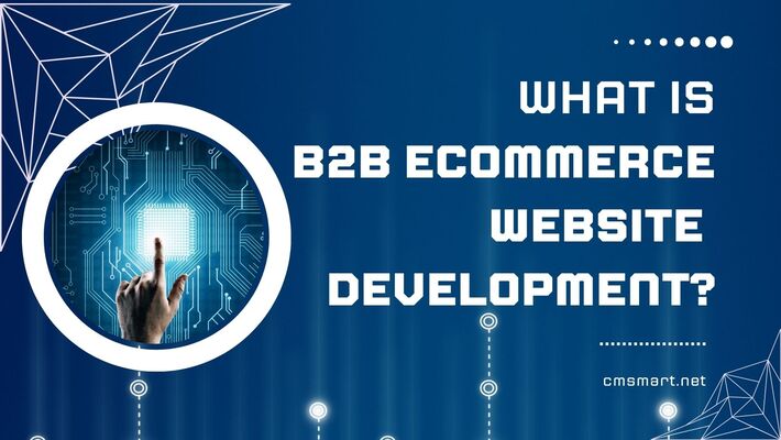 B2b Ecommerce Development - The Ultimate Guide 2023