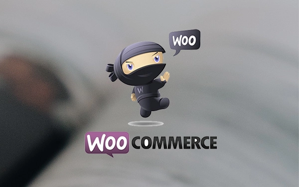 Compatible with WooCommerce