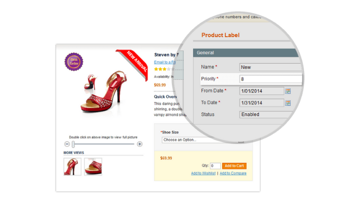Display product’s labels on the product details page