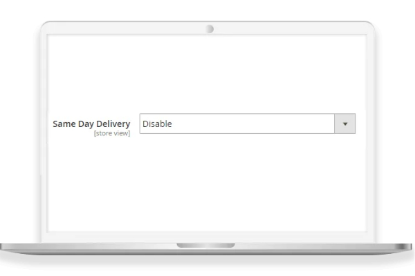 Option of same-day delivery
