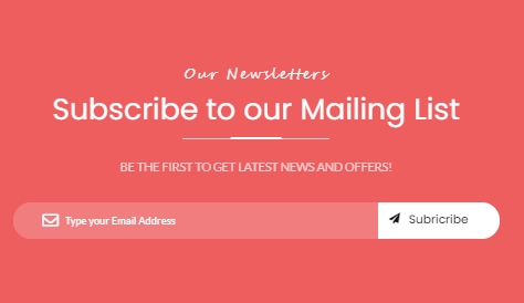 Email Newsletter Campaign