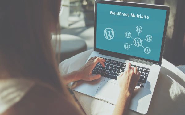 Support WordPress Multisite Network