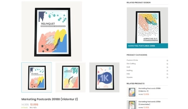 PROFESSIONAL STORE DEVELOPMENT